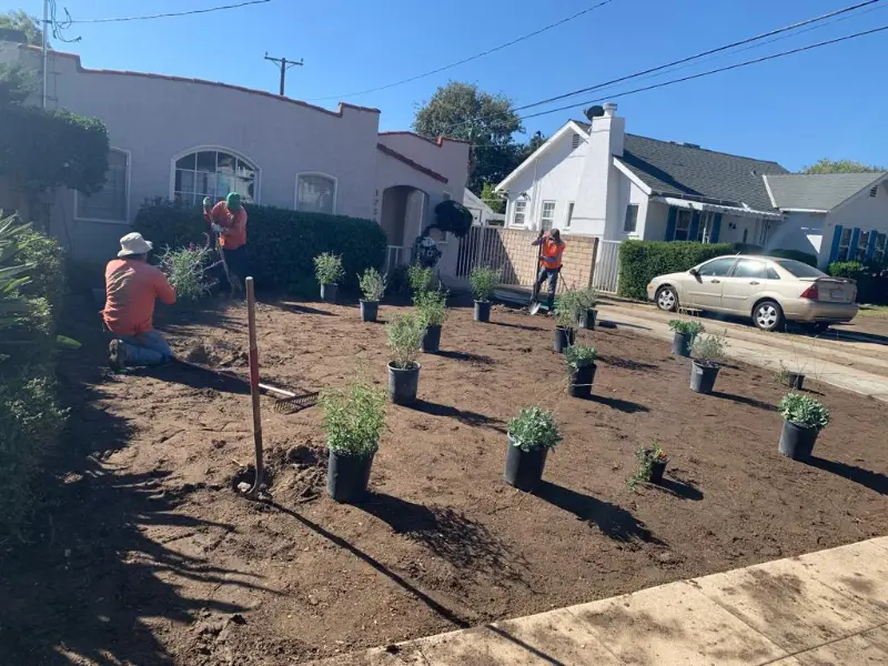 General Native Green crew planting a street-front yard