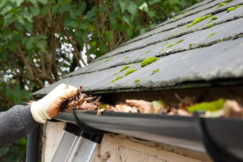 A gloved hand lifting wet leaves out of a roof gutter